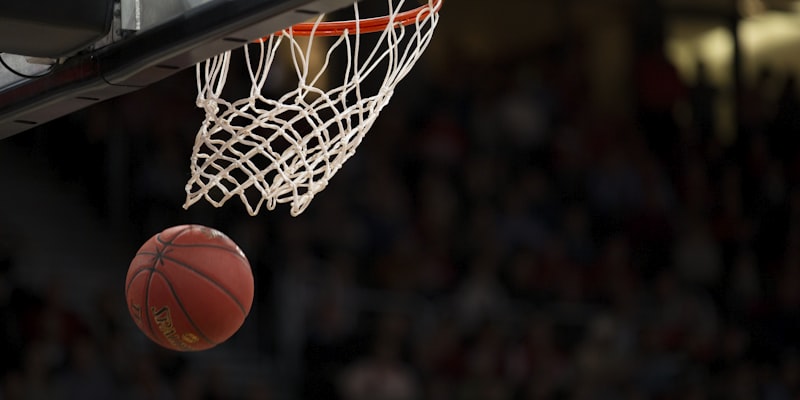 NBA总决赛丹佛掘金队战术体系与球员数据分析